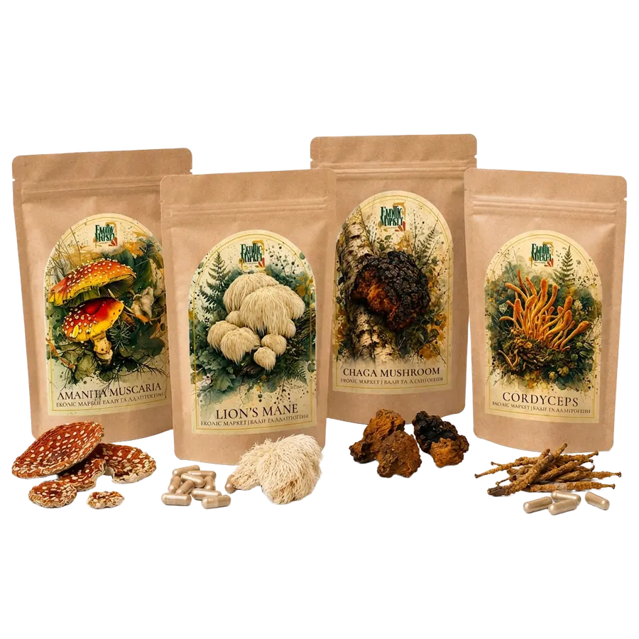 Набір 4 грибів — Amanita, Lion's Mane, Chaga, Cordyceps Набір 4 грибів — Amanita, Lion's Mane, Chaga, Cordyceps
